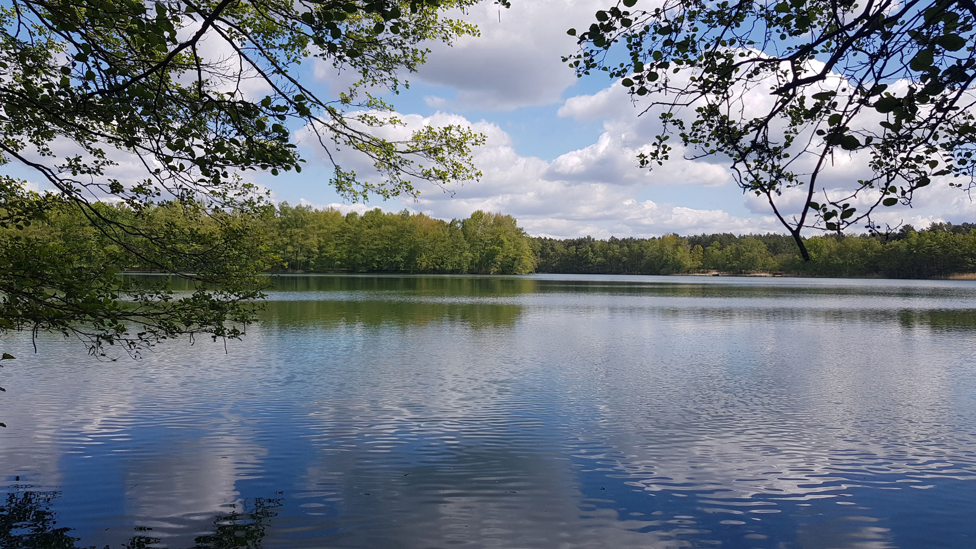 TON - Ferien am Tonteich - Tonteich Wasser